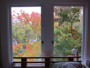 Orange County Window Washing in Fall
